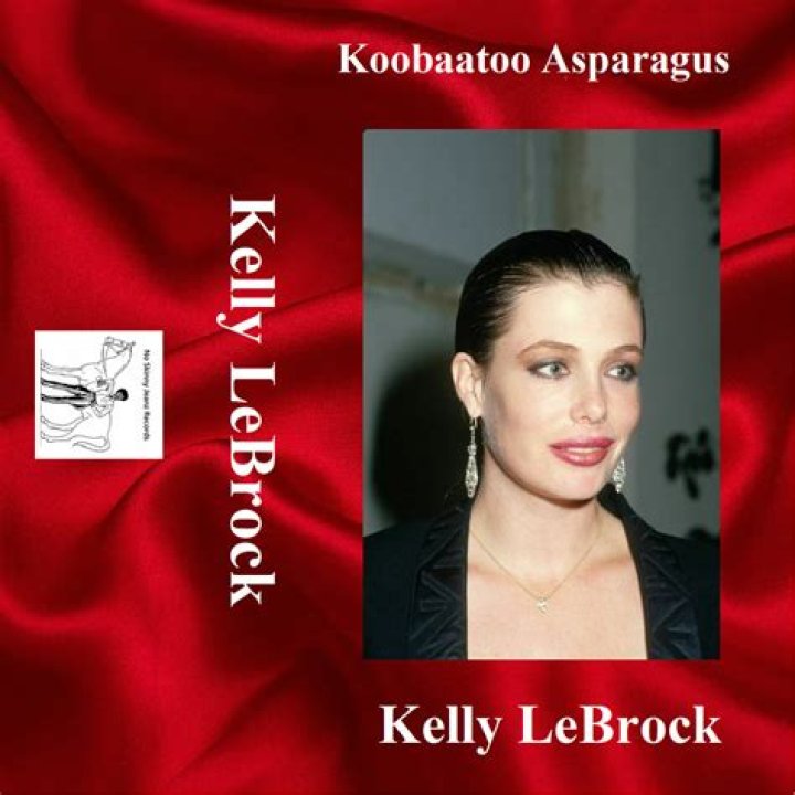 Kelly Lebrock | MoxVlog