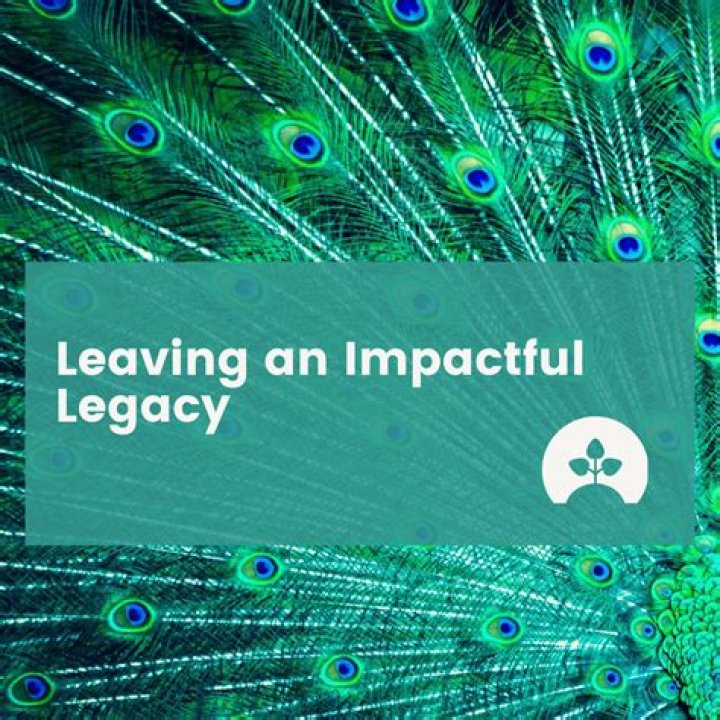 Unveiling The Impactful Legacy Of Diana Jenkins Young: Discoveries And Insights